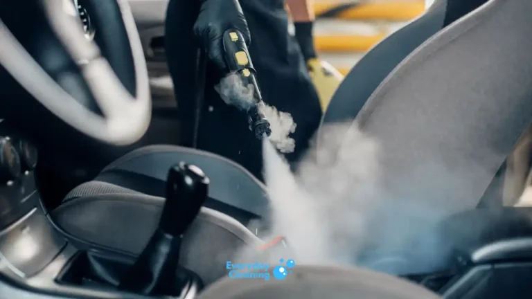 dry steam cleaner