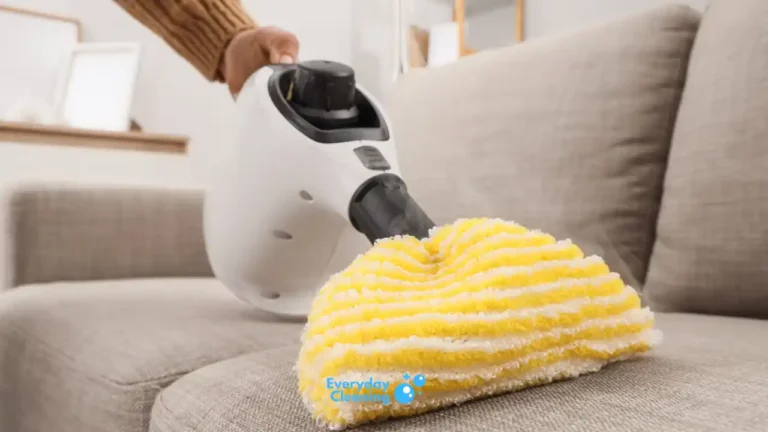 handheld steam cleaner reviews