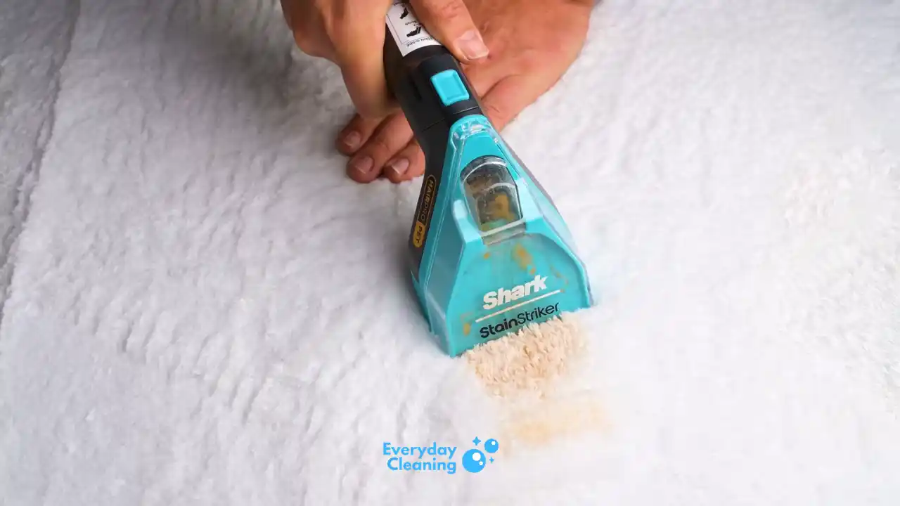 small carpet steam cleaner