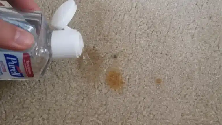 How to Get Tree Sap Out of Carpet