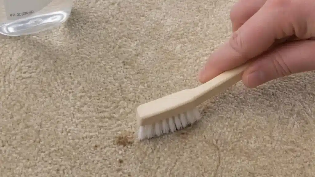 Remove Tree Sap From Carpet With Hand Sanitizer