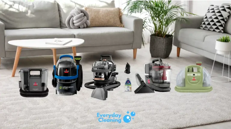 best handheld carpet cleaner for pets