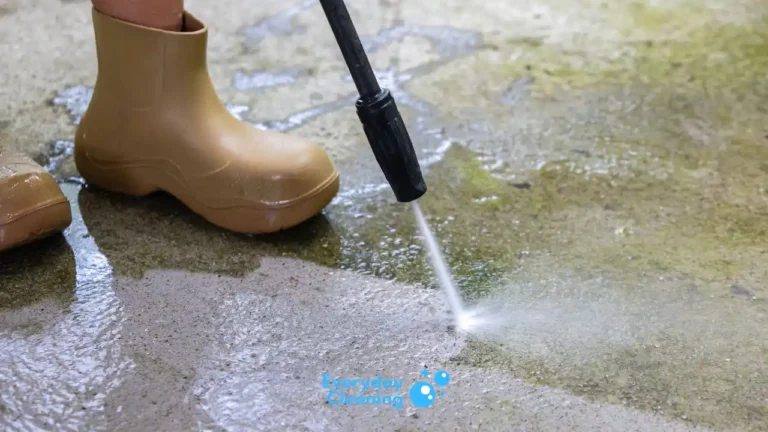Best Pressure Washer for Moss