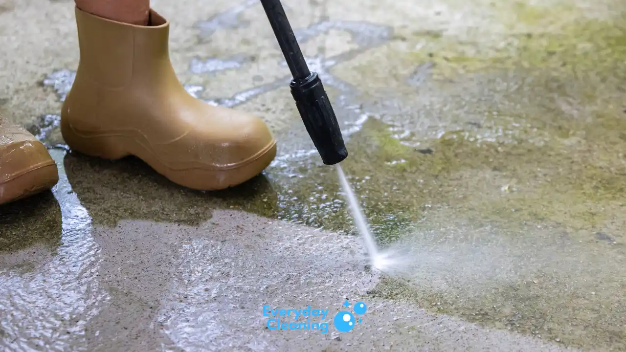 Best Pressure Washer for Moss