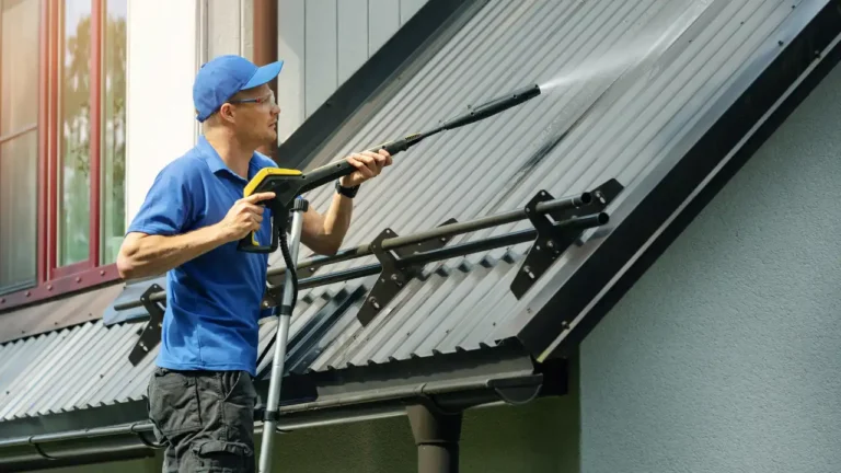 Best Pressure Washer for Roof Cleaning