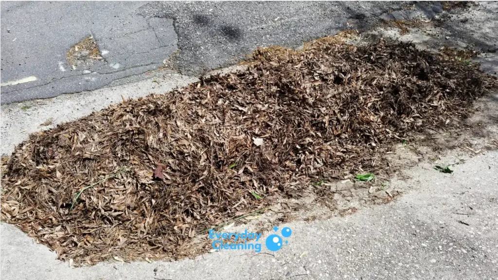 Clear Off Loose Debris