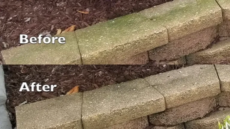 How to Remove Mold from Concrete