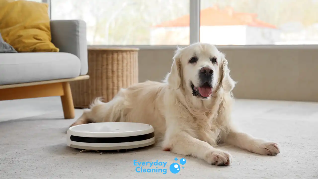 best robot vacuum for golden retriever hair